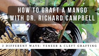 How to Graft a Mango Tree w Dr Richard Campbell [upl. by Schulze]