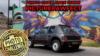 Forza Horizon 5  Photo Challenge Guide  PICTUREPAWFECT  Farid Ruedas Lion Mural in Playa Azul [upl. by Mommy182]