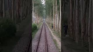 বাংলাদেশ রেলওয়ে গাবতলী টু সুখানপুকুর train indianrailways railway travel foryou shortsviral [upl. by Rolyat]