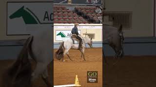 AQHA World Show 2024  L2 Senior Western Riding [upl. by Nnaaihtnyc]