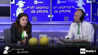 Susanna Ceccardi ad un giorno da pecora [upl. by Corabelle419]