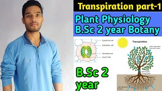 Transpiration in Plants  BSc 2 year Botany Plant physiology and Biochemistry [upl. by Demmy]