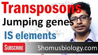 Transposable elements  transposons and is elements [upl. by Rowley209]