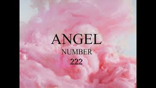 Angel Number 222 Attunement  Soulmate Love  Omniminal [upl. by Ori]