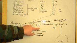 Proprionic Acidemia  Simplified Explanations for USMLE Step 1 [upl. by Eusadnilem]