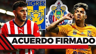 SE ACABO LA NOVELA ALEXIS VEGA NUEVO REFUERZO DE TIGRES A CAMBIO DE RAYMUNDO FULGENCIO PARA CHIVAS [upl. by Hands]