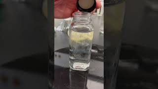 Pseudomonas syringae ice nucleation demonstration [upl. by Netaf277]