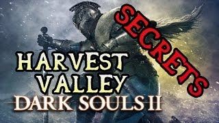 Dark Souls 2 Secrets HARVEST VALLEY [upl. by Aylad]