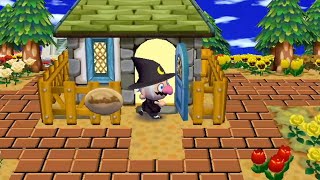 Wii Animal Crossing City Folk Day 239 quotA Needed Switchquot [upl. by Nirre]