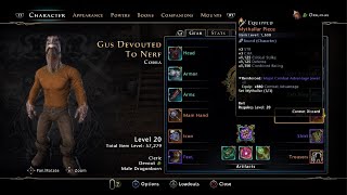 Neverwinter About The Devout DPS Build its not really viable [upl. by O'Grady]