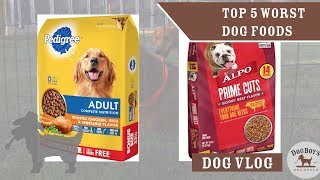 The 5 WORST Dog Foods  Dog Food amp Dog Wellness  DogBoys DogVlog [upl. by Ennaeed]