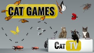 CAT Games  Ultimate Cat TV Bugs and Butterflies Compilation Vol 4 🪲 🐞🦋🦗🐜  Videos For Cats to Watch [upl. by Agace185]