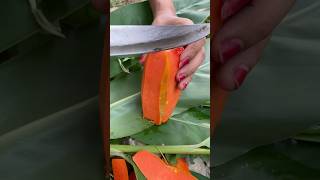 Viral papaya fruit [upl. by Lenna]