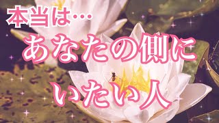 【想われています👀】あなたの側にいたい人❤️個人鑑定級 当たる 恋愛タロット占い オラクルカード細密リーディング [upl. by Yrojram759]