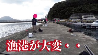 【漁港が大変】日曜日の湾内堤防はナブラやボイルが収まらず見たことないサイズがあがる [upl. by Otnas]