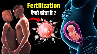 Fertilization  Pregnancy  Baby Delivery  स्पर्म की अंडे से मिलने की दौड़ है कितनी दिलचस्प [upl. by Galatia]