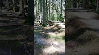 Flowtrail Stromberg Part 3 shorts bike mtb mtbjumps trails [upl. by Eus389]