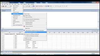 Attribute Agreement Analysis  Nominal Data [upl. by Llenwahs]