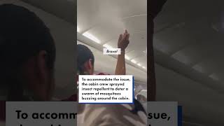 Flight nightmare Mosquito swarm wreaks havoc on airplane as cabin crew panic shorts [upl. by Kenlay]