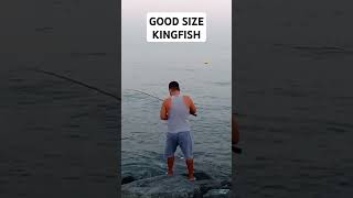 ANOTHER GOOD SIZE KINGFISH [upl. by Onez]