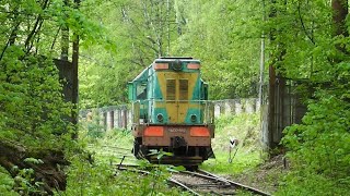 Тепловоз ЧМЭ2442  Diesel locomotive ChME2442 [upl. by Arther5]