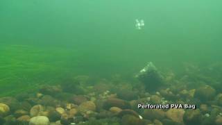 Barbel  PVA Bags Underwater Revealed [upl. by Pren]