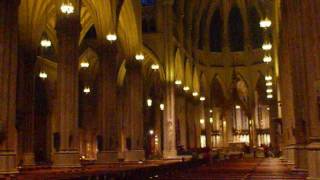 St Patricks Cathedral in New York City [upl. by Swamy367]