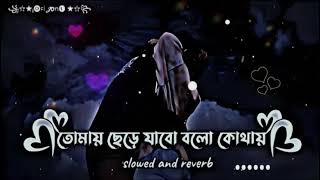 তোমায় ছেড়ে যাবো বলো কোথায় Tomay Chere Jabo Bolo Kothai slowed  reverb Lofi jone 6 [upl. by Dloreh197]