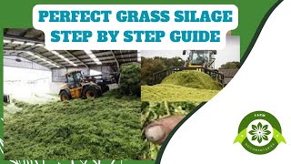 Mastering Grass Silage StepbyStep Guide for Optimal Livestock Feed [upl. by Wampler]