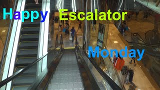 Happy Escalator Monday Unknown Escalators at Dillards at Baybrook Mall in Friendswood TX [upl. by Ody]