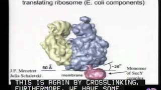 Mechanisms of Protein Translocation Across Membranes [upl. by Garwin]