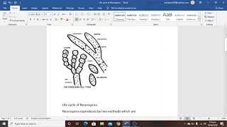 life cycle of neurospora pt 1 [upl. by Julius]