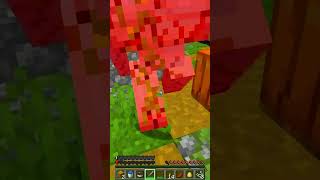 My WORST DEATHS In Minecraft [upl. by Llennahc]