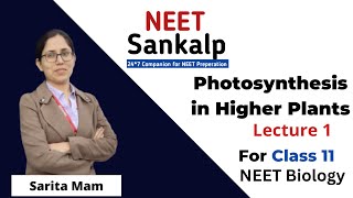 Photosynthesis in Higher Plants Class 11 NEET Biology  Class 11 Biology  Sankalp Sankalp Academy [upl. by Krueger]