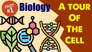 Biology Chapter 6 A Tour of the Cell 12 [upl. by Lorena]