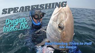 Spearfishing Oregon Inlet with Vicarious Spearfishing Charters [upl. by Wren]