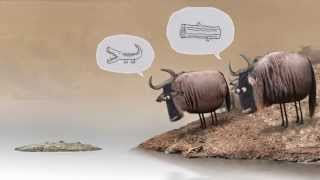 Lo gnu e il coccodrillo  Wildebeest from Birdbox Studio [upl. by Eremaj]