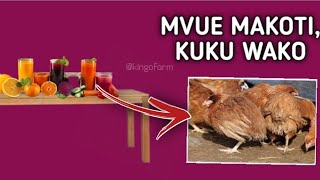 TUMIA TIBA ZA ASILI KUMVUA KUKU MAKOTI USINUNUE TENA DAWA ZA KUKU poultryfarming tiba ufugaji [upl. by Happ431]