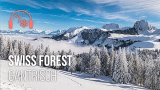 Cinematic Drive amp Relax in Snow Forest Switzerland – Crunching Snow Sound [upl. by Magree360]