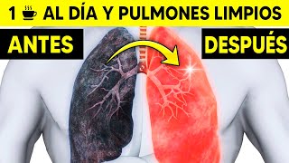 Limpiar Pulmones del Tabaco 🚬 ¿Cómo Limpiar los Pulmones de un Fumador [upl. by Nyloj]