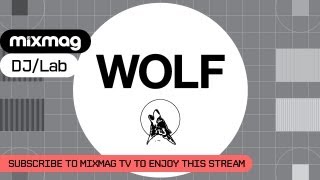 WOLF MUSIC IN THE LAB GREYMATTER  KRL MEDLAR [upl. by Alyssa748]