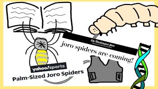 Joro Spiders Ballooning Across the Eastern United States [upl. by Enneiviv117]