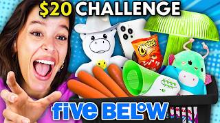 Try Not To Buy Challenge  Five Belows Craziest Products [upl. by Maleki]