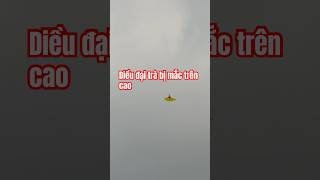 Làm diều sáo cacbonsáodiều dieusao diềusáo kite kitevideo hướngdẫnlàmdiều kiteflying dieu [upl. by Eniar538]