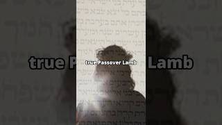 What is Passover bible passover lambofgod [upl. by Bornstein]