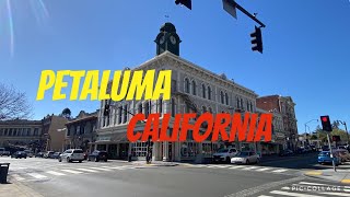 THINGS TO DO IN PETALUMA CALIFORNIA [upl. by Casia]