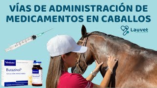 VÍAS DE ADMINISTRACIÓN DE MEDICAMENTOS EN CABALLOS  Lauvet [upl. by Avilla]