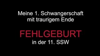 Meine 1 Schwangerschaft mit traurigem Ende  Fehlgeburt in der 11 SSW  AnnCooki [upl. by Oner]