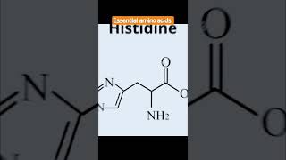 3 Essential Amino Acids shortfeeds shorts science [upl. by Oniluap]