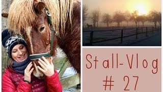 StallAlltag Reitunterricht auf der Ovalbahn  Ich reite doch einen Lipizzaner  StallVlog 27 [upl. by Chip57]